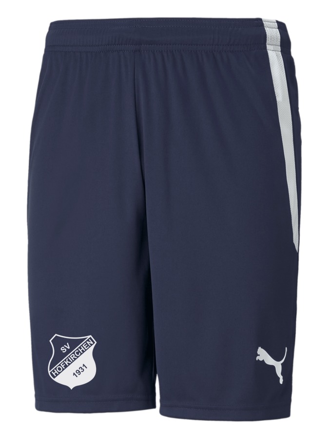 PUMA teamLIGA Shorts