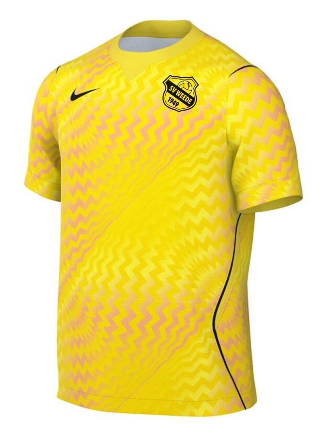 Nike Gardien VI Torwart Trikot