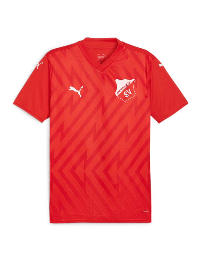 PUMA teamGLORY Trikot