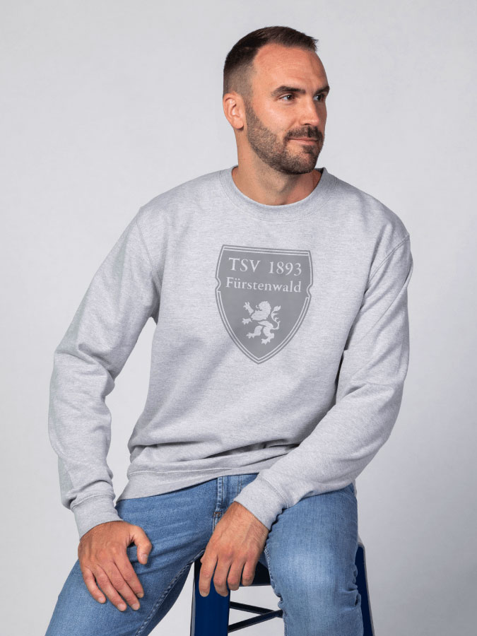 Sweater All Grey Herren