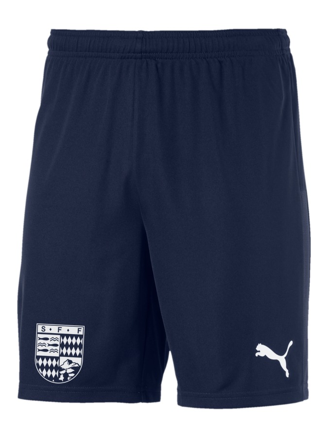 PUMA teamGOAL 23 Knit Shorts