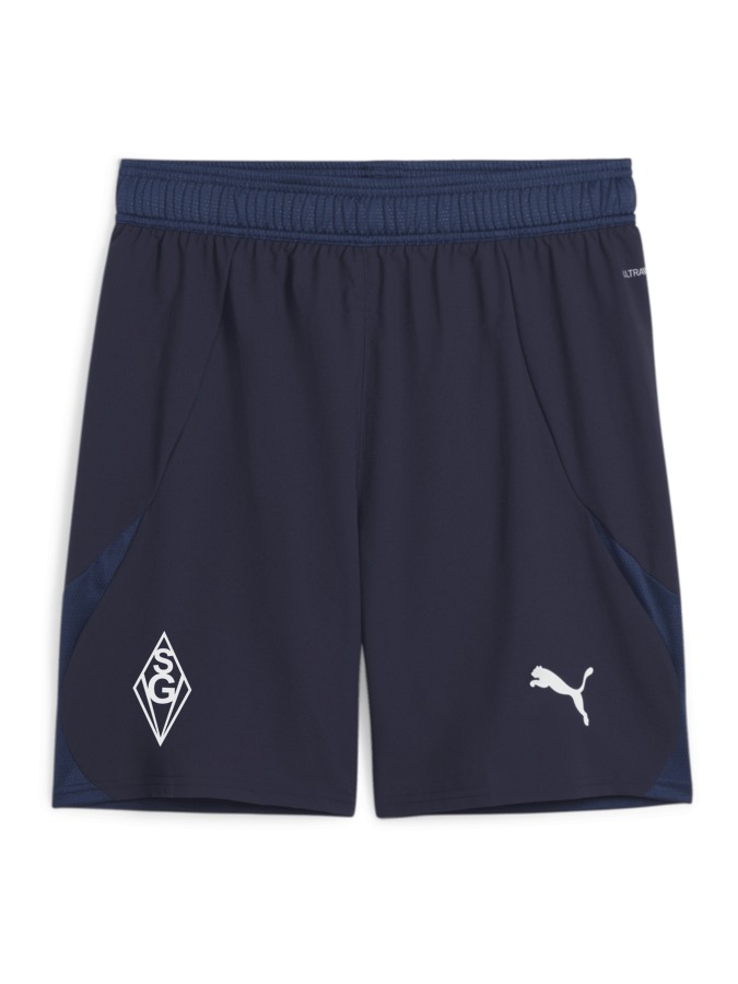 PUMA teamFINAL Shorts