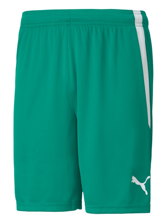 PUMA teamLIGA Shorts