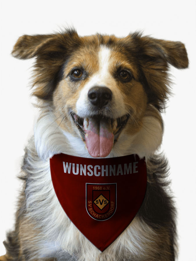 Hundehalstuch