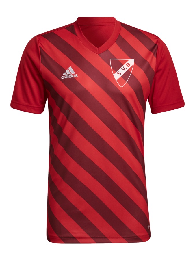 adidas Entrada 22 GFX Trikot