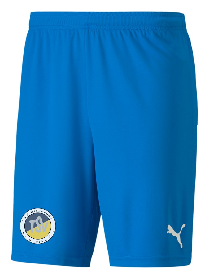 PUMA teamGOAL 23 Knit Shorts
