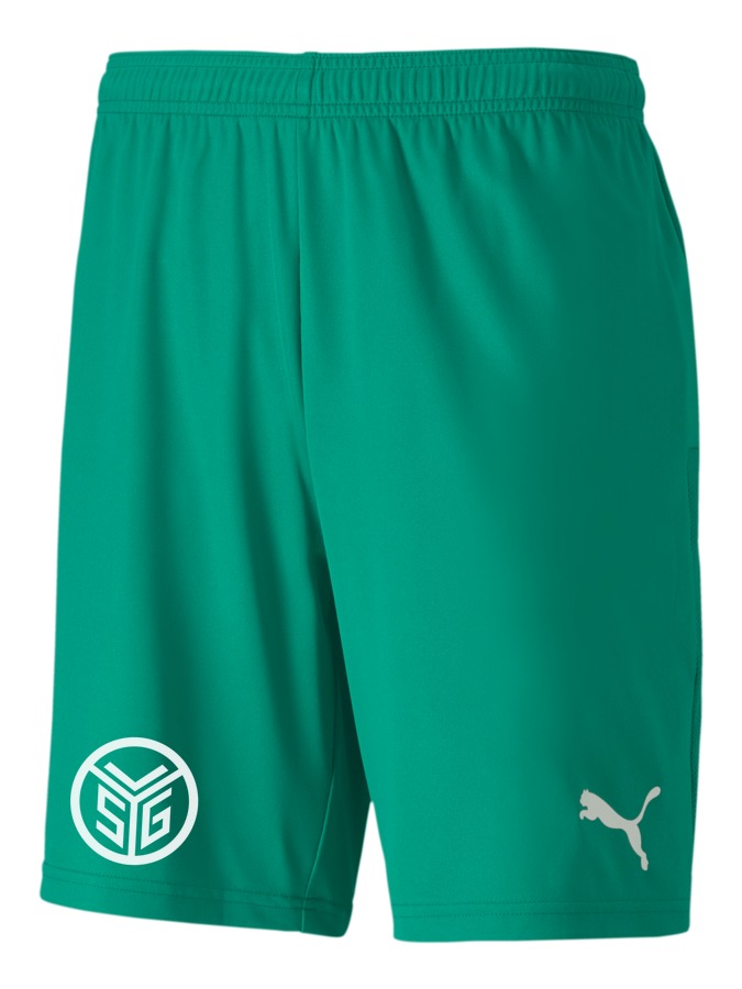 PUMA teamGOAL 23 Knit Shorts