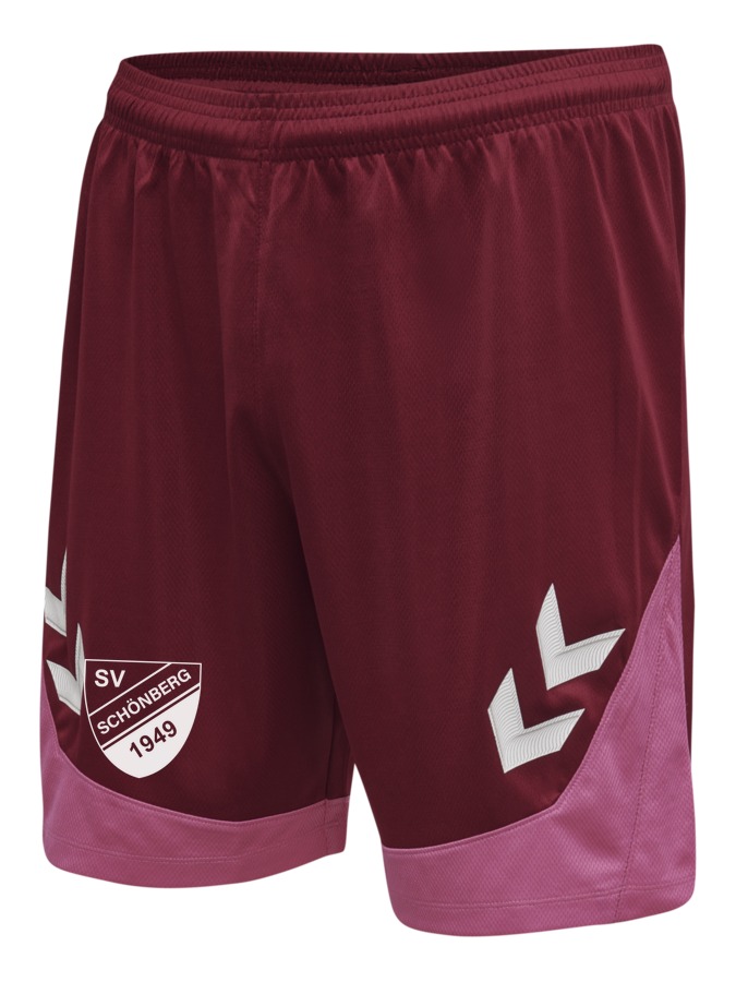 Hummel Lead Trainingsshorts