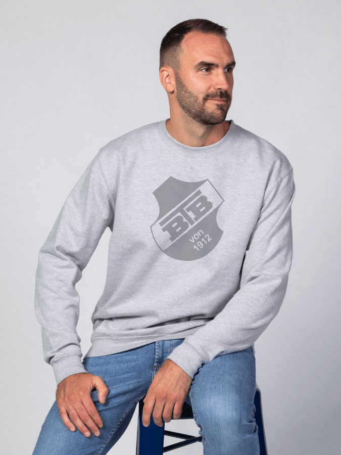 Sweater All Grey Herren