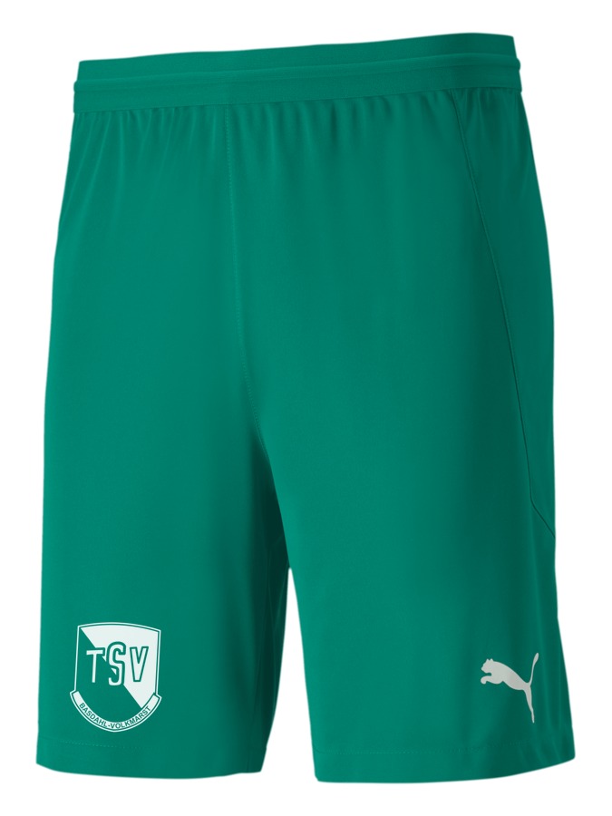 PUMA teamFINAL 21 Knit Shorts