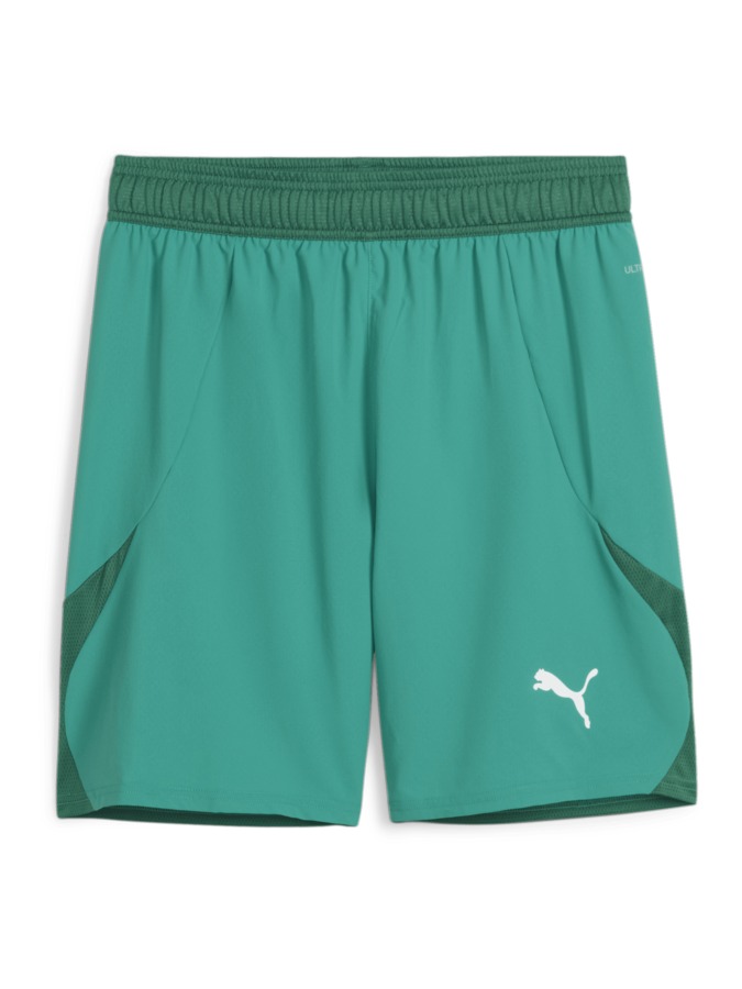 PUMA teamFINAL Shorts