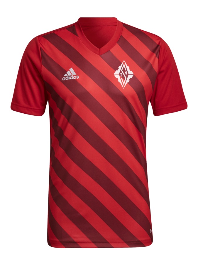 adidas Entrada 22 GFX Trikot