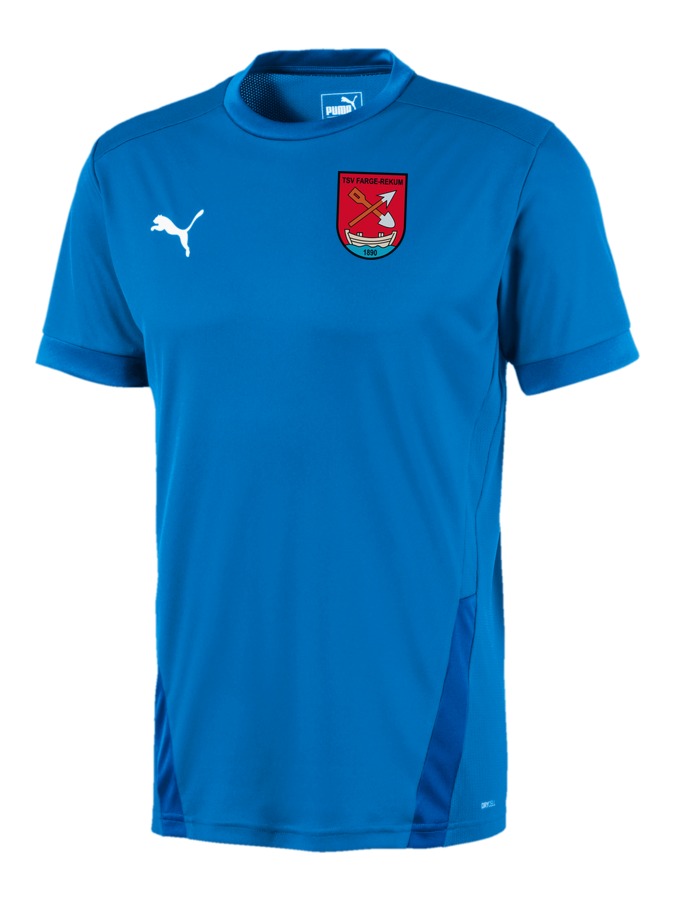 PUMA teamGOAL 23 Trikot