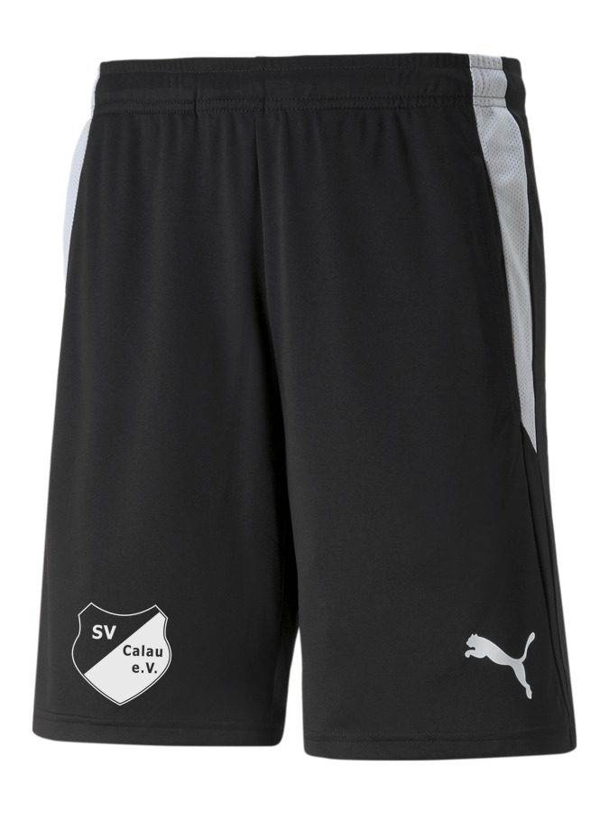 PUMA teamLIGA Referee Shorts