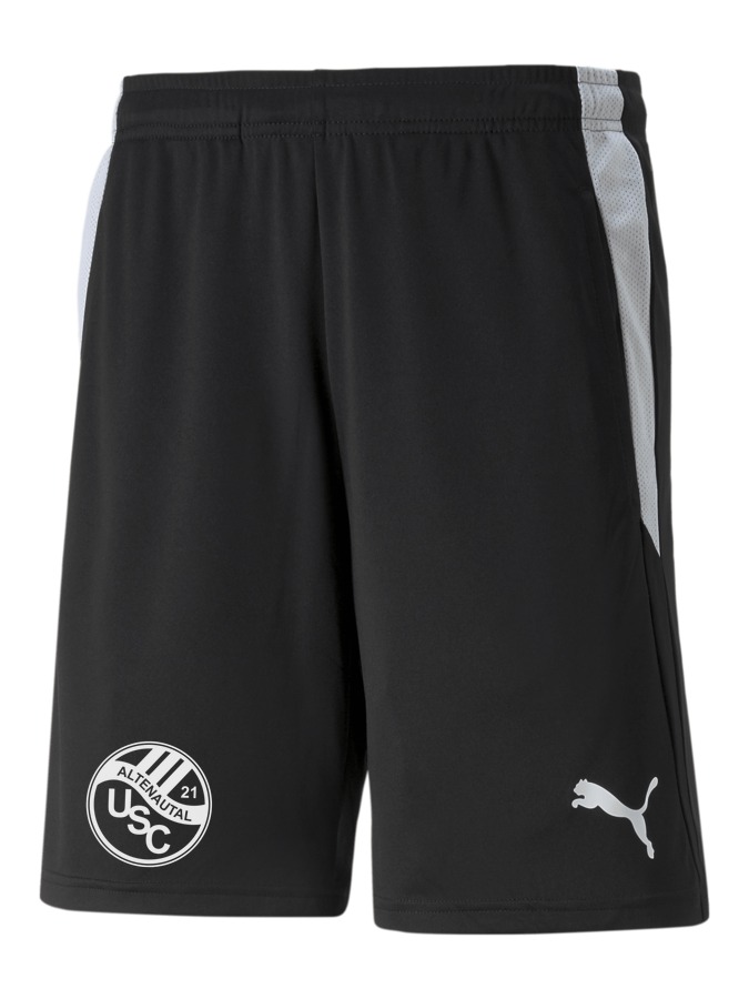 PUMA teamLIGA Referee Shorts