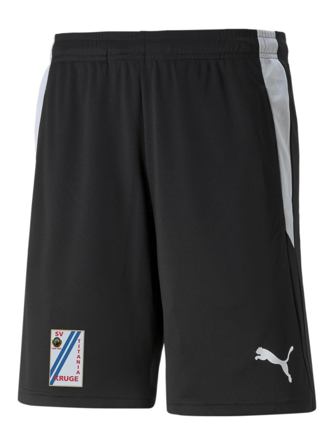PUMA teamLIGA Referee Shorts