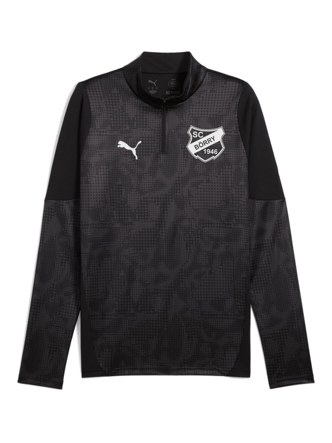 PUMA teamCUP Training 1/4-Zip-Top