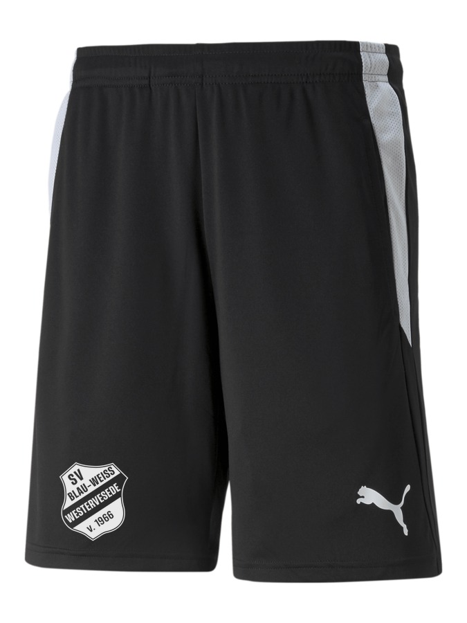 PUMA teamLIGA Referee Shorts