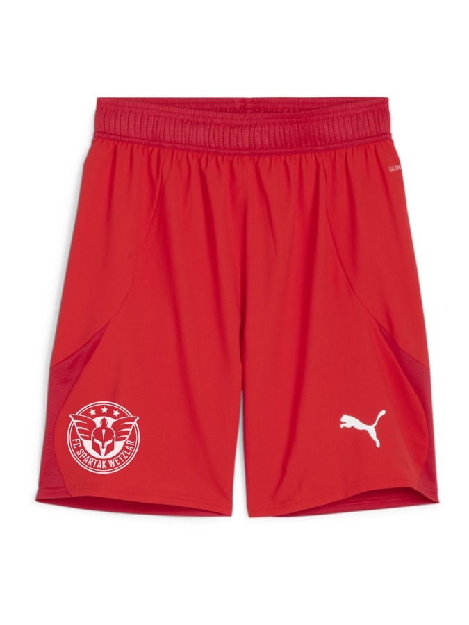 PUMA teamFINAL Shorts