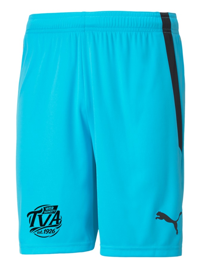 PUMA teamLIGA Shorts