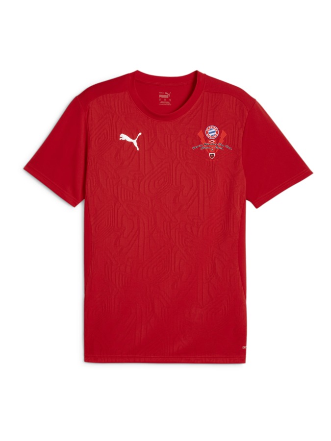 PUMA teamFINAL Trainingsshirt