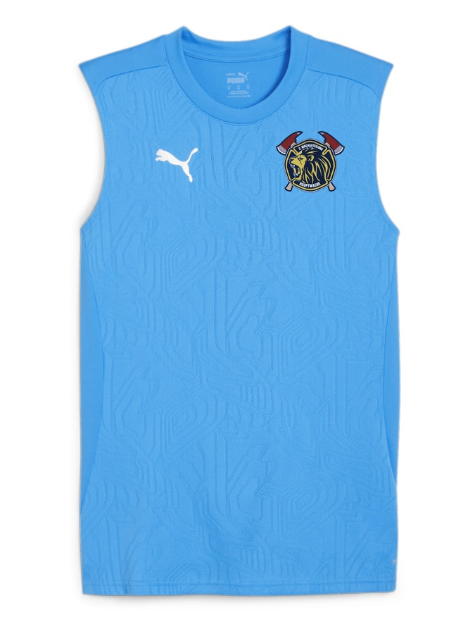 PUMA teamFINAL Trainingstanktop