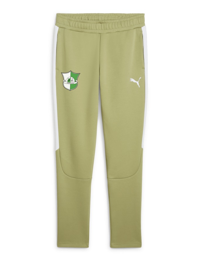 PUMA teamEVOSTRIPE Hose