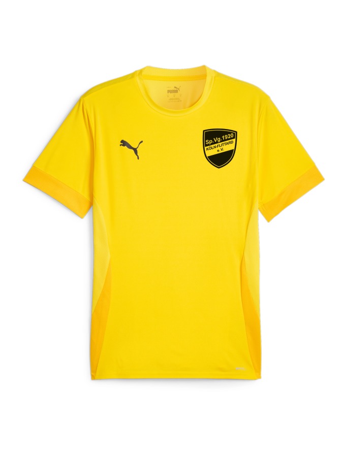 PUMA teamGOAL Matchday Trikot