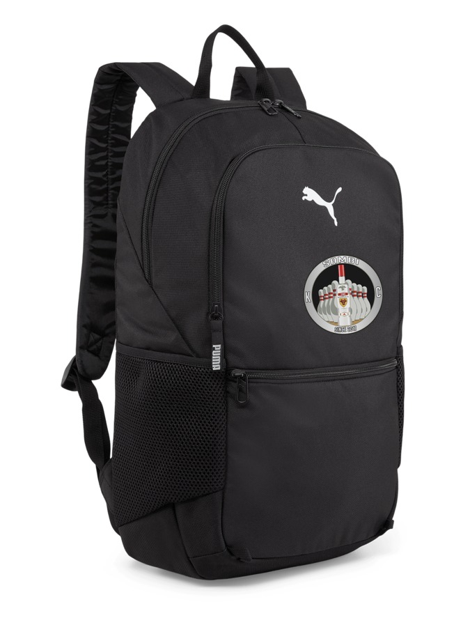 PUMA teamGOAL Rucksack mit Ballnetz