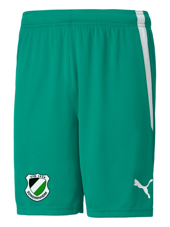 PUMA teamLIGA Shorts