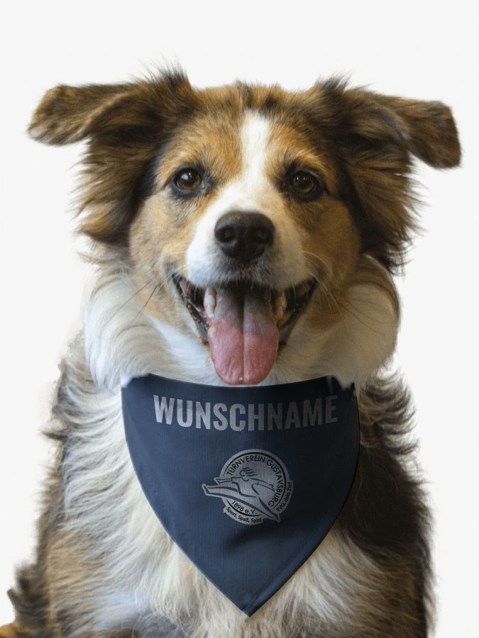 Hundehalstuch