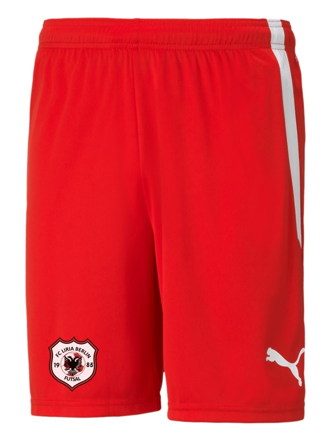 PUMA teamLIGA Shorts