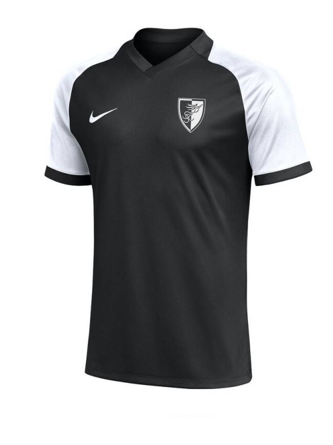Nike Trophy VI Trikot