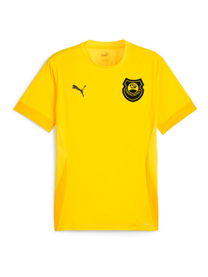 PUMA teamGOAL Matchday Trikot