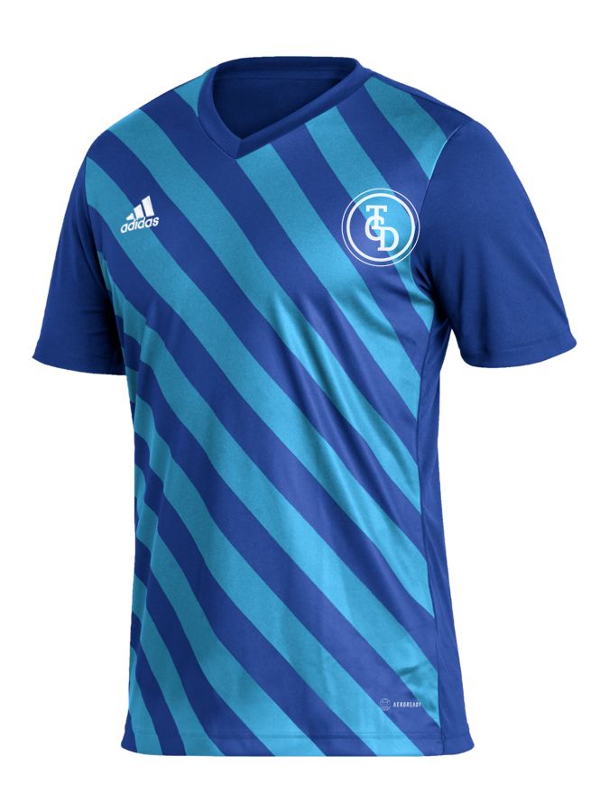 adidas Entrada 22 GFX Trikot