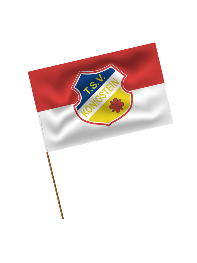 Stadionfahne Logo