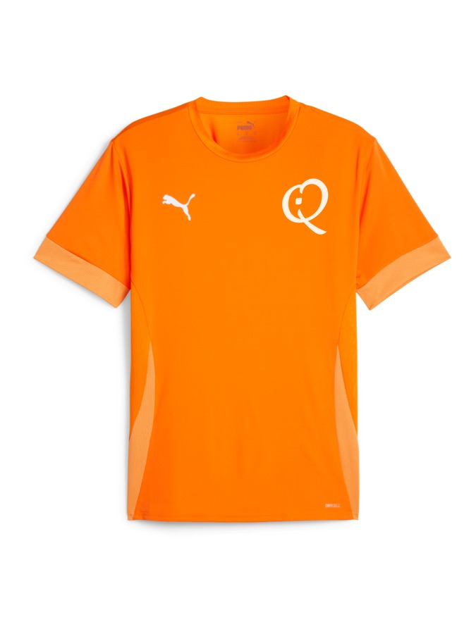 PUMA teamGOAL Matchday Trikot