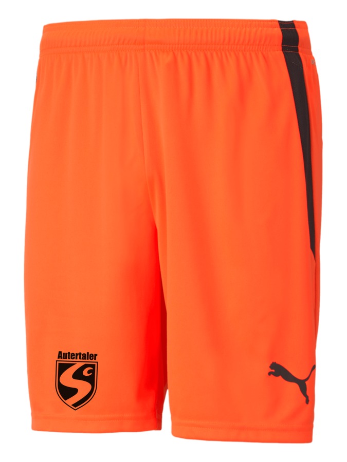 PUMA teamLIGA Shorts