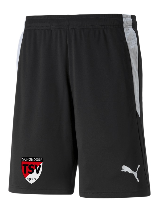 PUMA teamLIGA Referee Shorts
