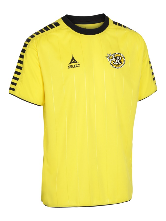 Select Argentina Trikot