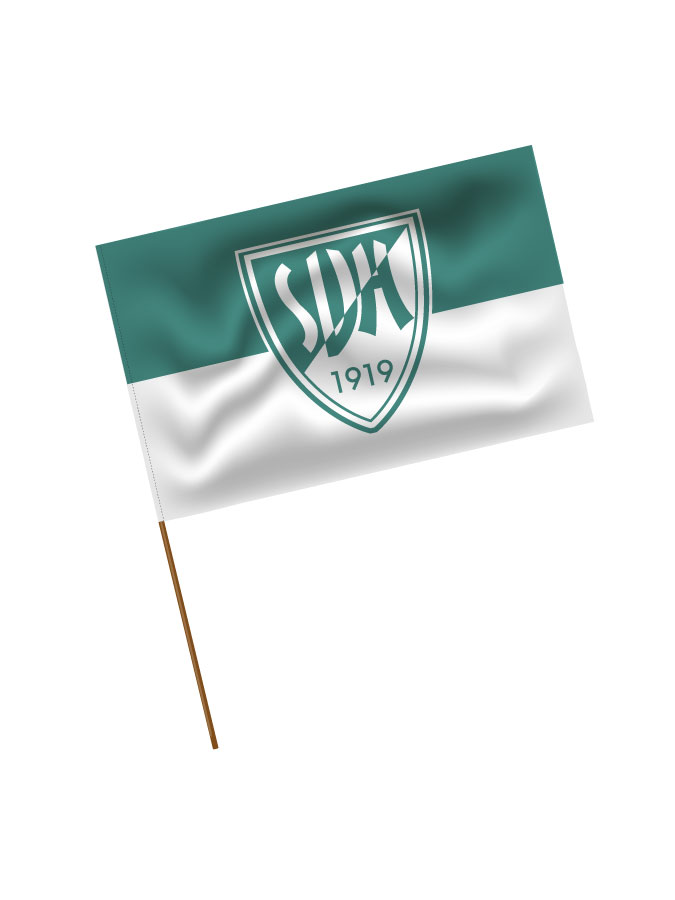 Stadionfahne Logo