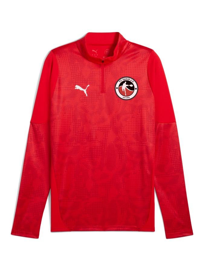 PUMA teamCUP Training 1/4-Zip-Top