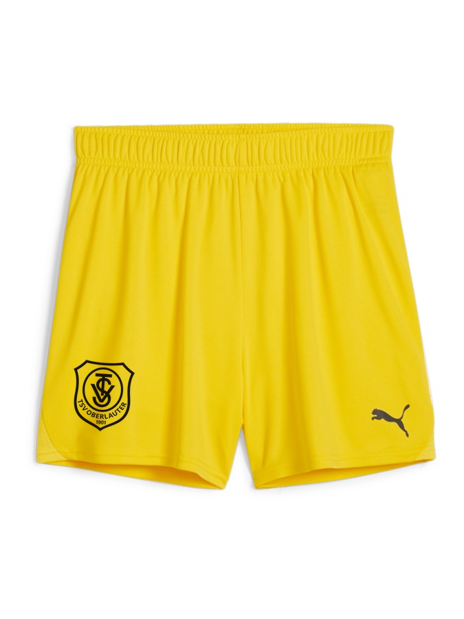 PUMA teamGOAL Handballshorts Damen