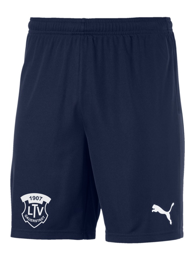 PUMA teamGOAL 23 Knit Shorts