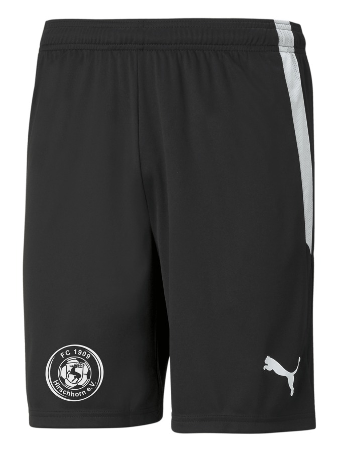 PUMA teamLIGA Shorts