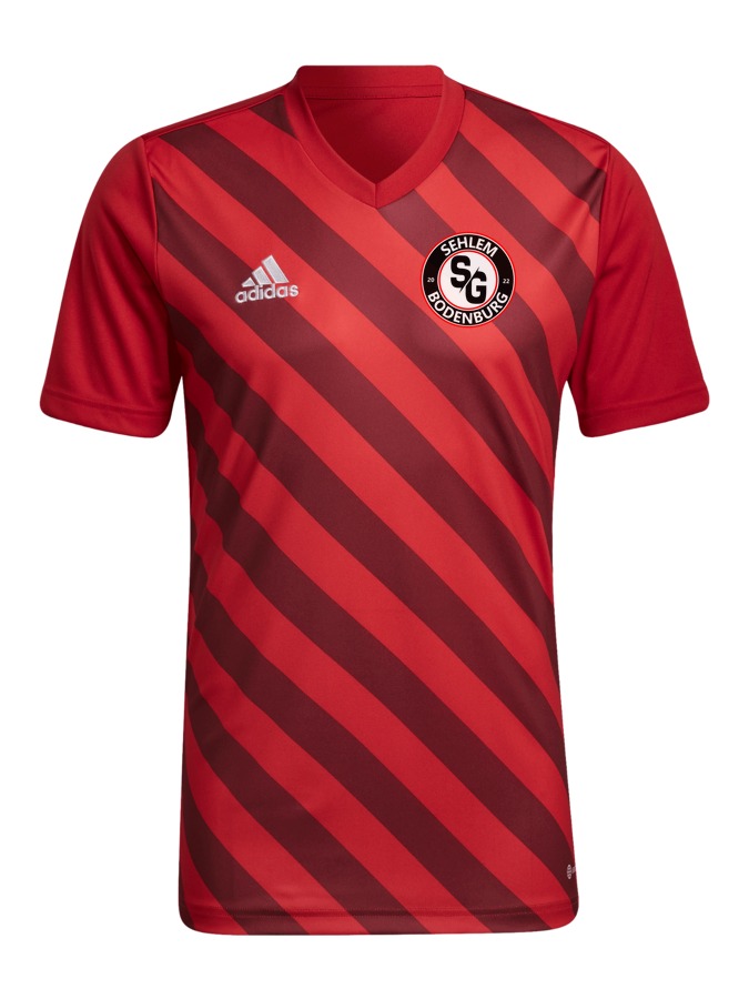 adidas Entrada 22 GFX Trikot