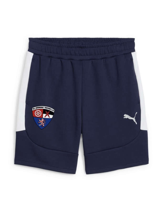PUMA teamEVOSTRIPE Shorts