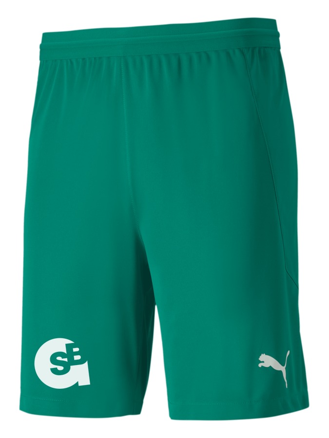PUMA teamFINAL 21 Knit Shorts