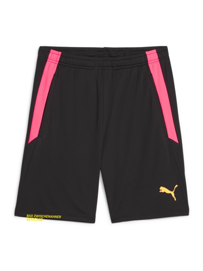 PUMA teamLIGA Training Shorts 2 (Offene Taschen)
