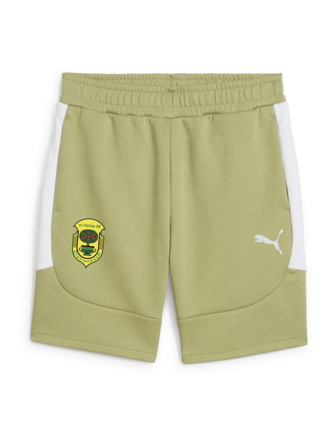 PUMA teamEVOSTRIPE Shorts